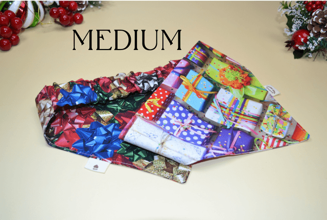 Santa Paws Slide on Bandana Duo, Medium